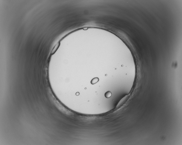 X0000111171292200908121038