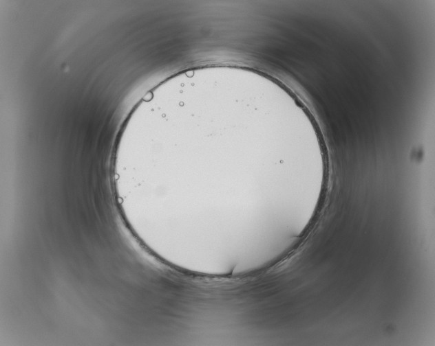 X0000111171293200908121038