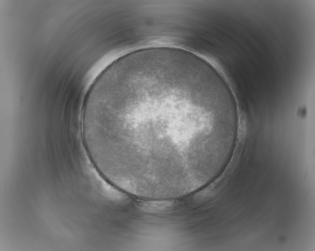 X0000111171294200908121038