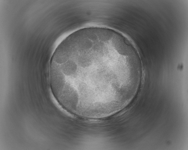 X0000111171295200908121038