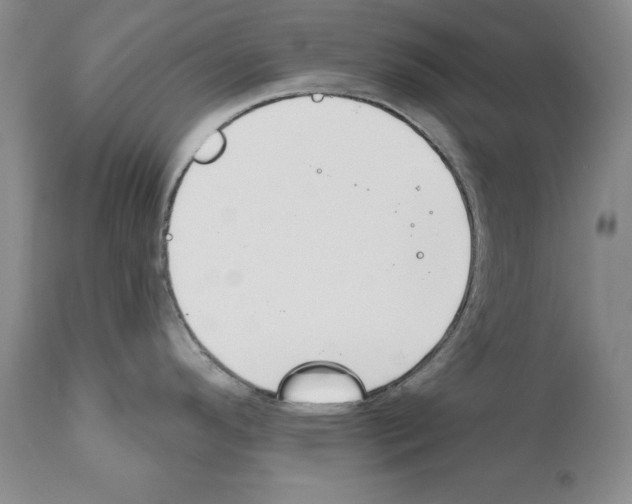 X0000111171296200908121038