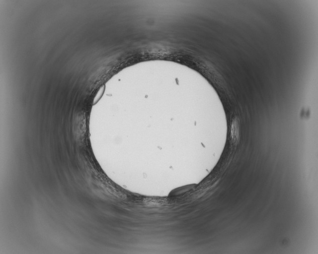 X0000111171299200908121037