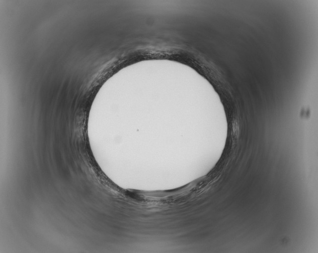 X0000111171300200908121037