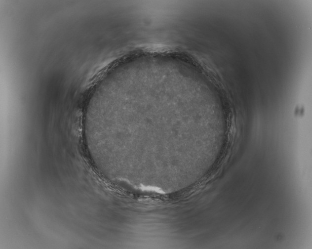 X0000111171301200908121037