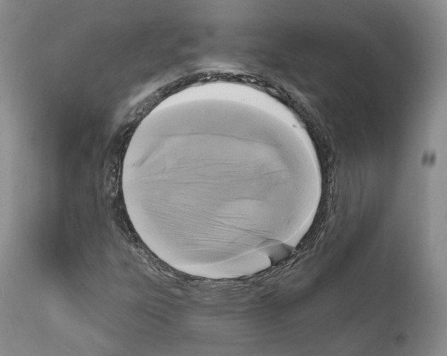 X0000111171303200908121037