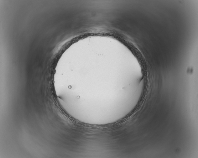 X0000111171304200908121037