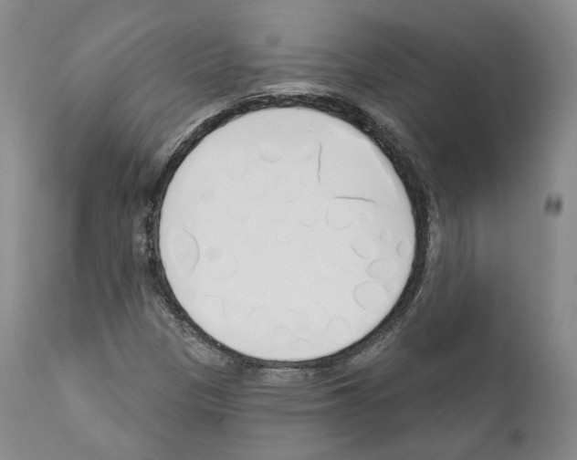 X0000111171305200908121037