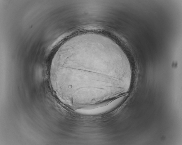 X0000111171306200908121037