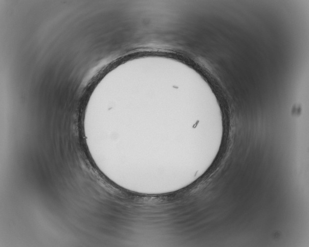 X0000111171307200908121037