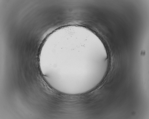 X0000111171308200908121037