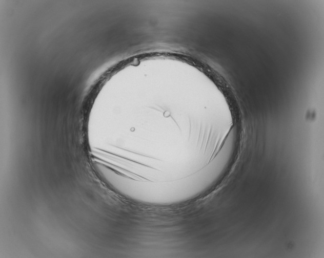 X0000111171310200908121037