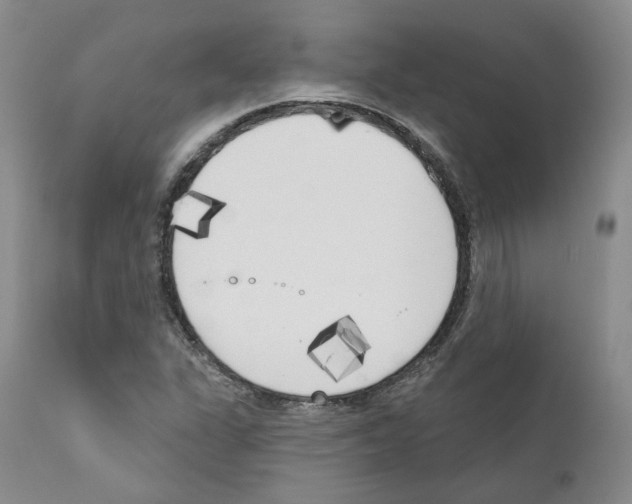 X0000111171311200908121037