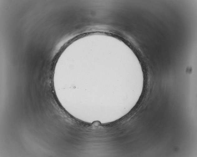 X0000111171312200908121037