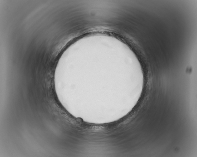 X0000111171313200908121037