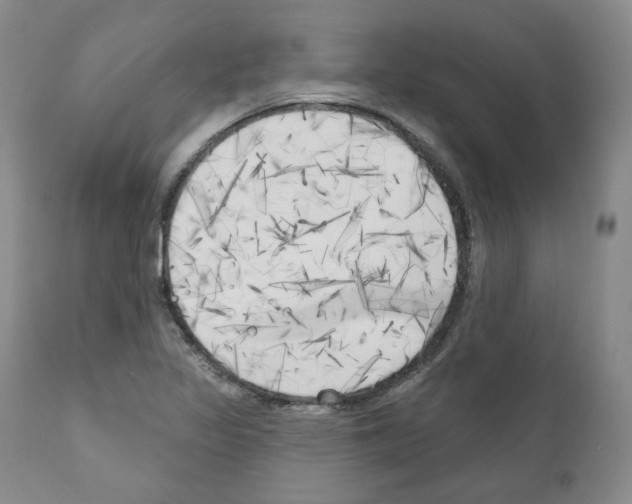 X0000111171317200908121038