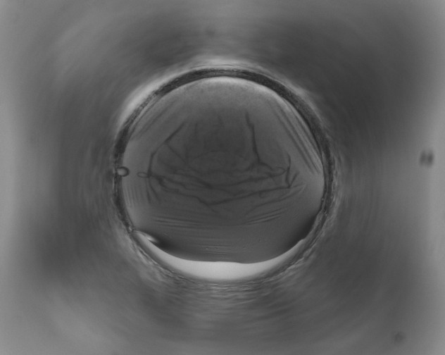 X0000111171319200908121038