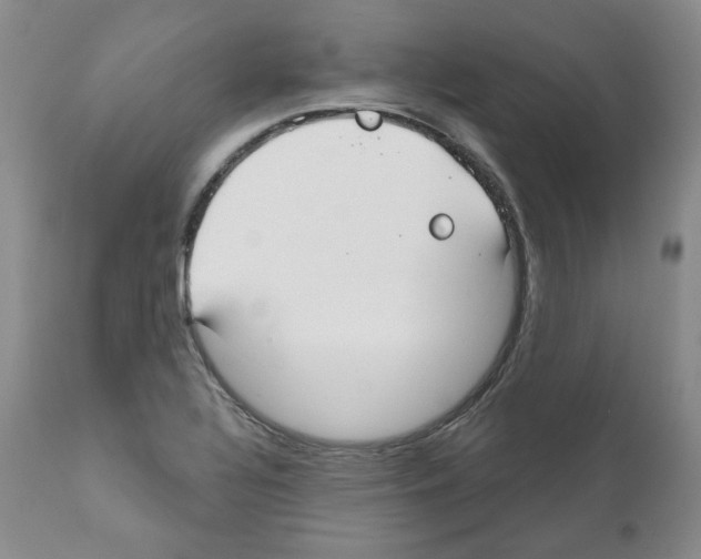 X0000111171320200908121038