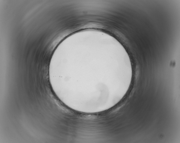 X0000111171321200908121038