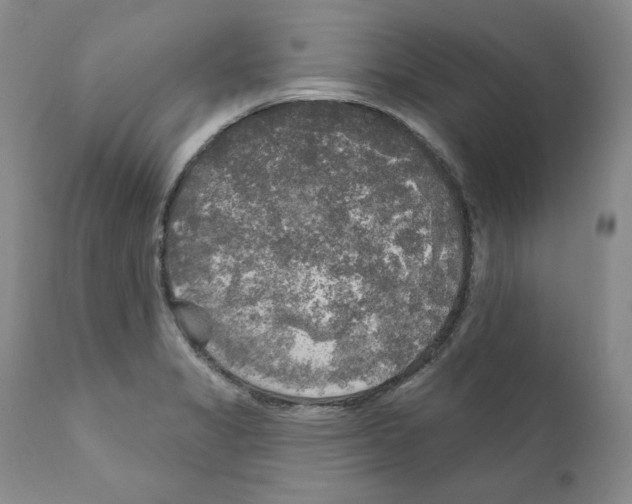 X0000111171325200908121038