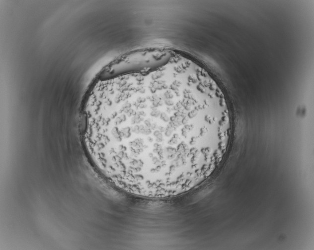 X0000111171326200908121038