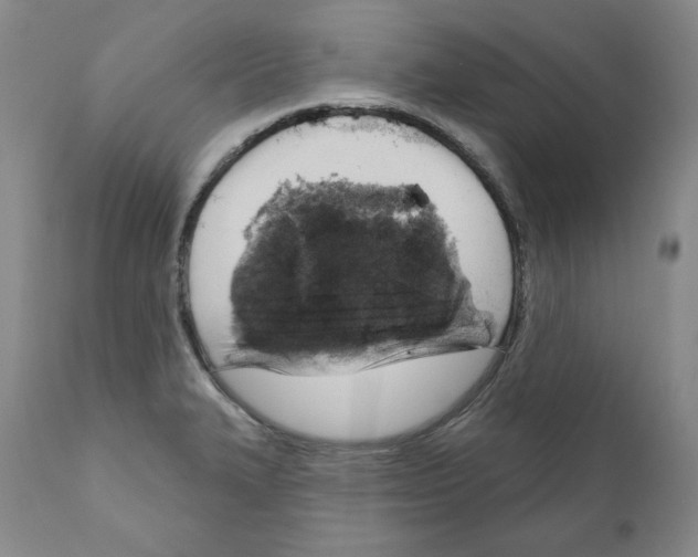 X0000111171327200908121038