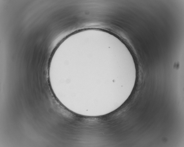 X0000111171328200908121038