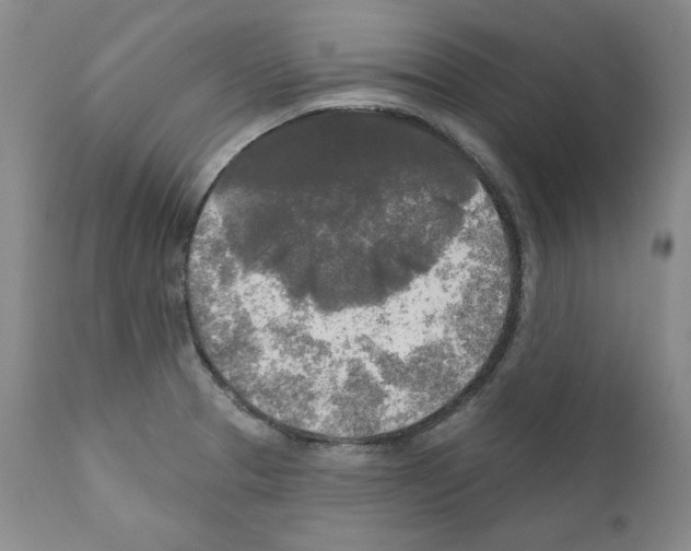 X0000111171329200908121038