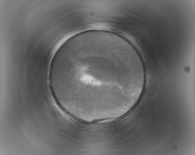 X0000111171331200908121038