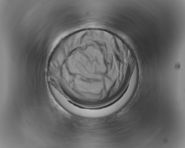 X0000111171334200908121038