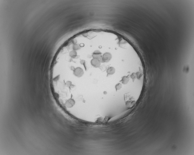 X0000111171335200908121038