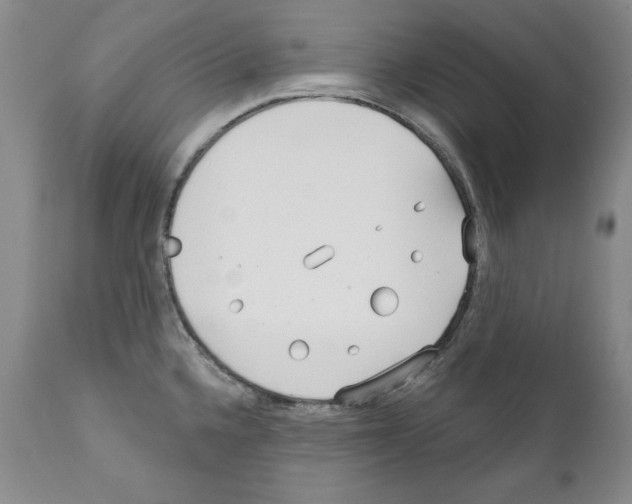 X0000111171336200908121038