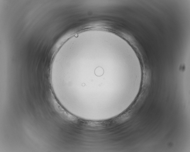 X0000111171338200908121038