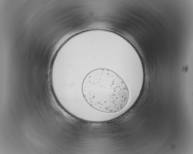 X0000111171339200908121038