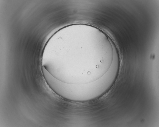 X0000111171340200908121038