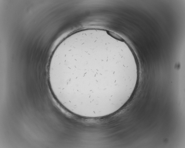 X0000111171341200908121038