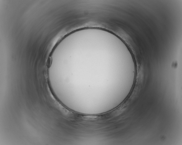 X0000111171342200908121038