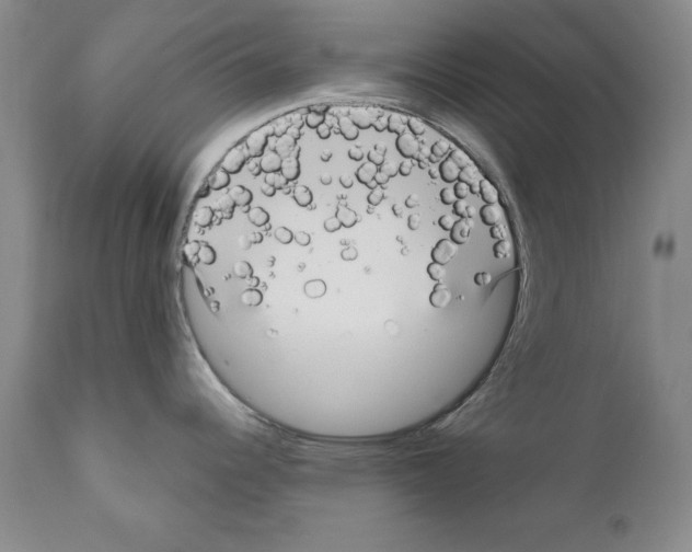 X0000111171344200908121038