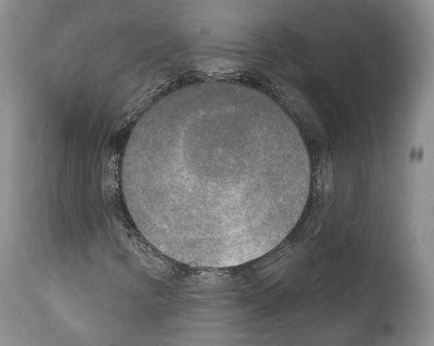 X0000111171346200908121037