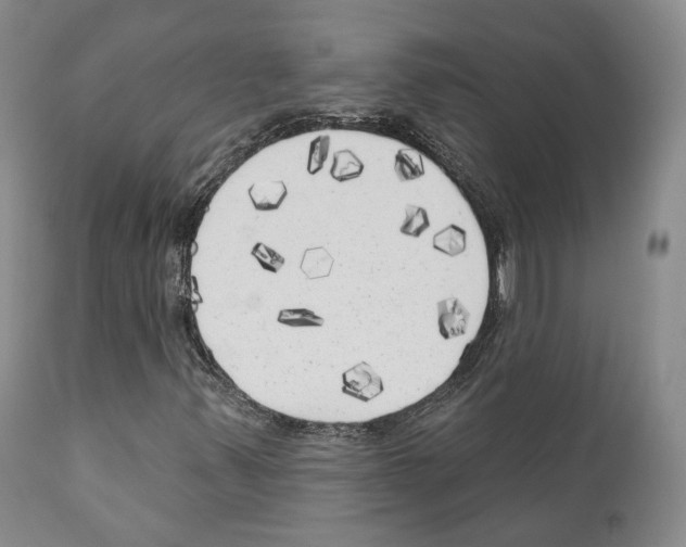 X0000111171347200908121037