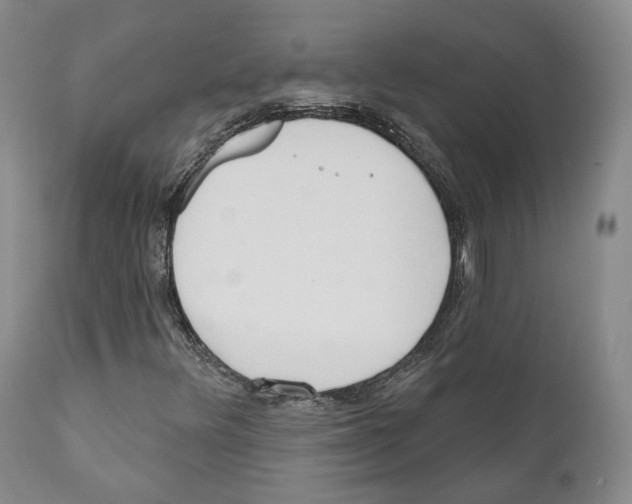 X0000111171348200908121037