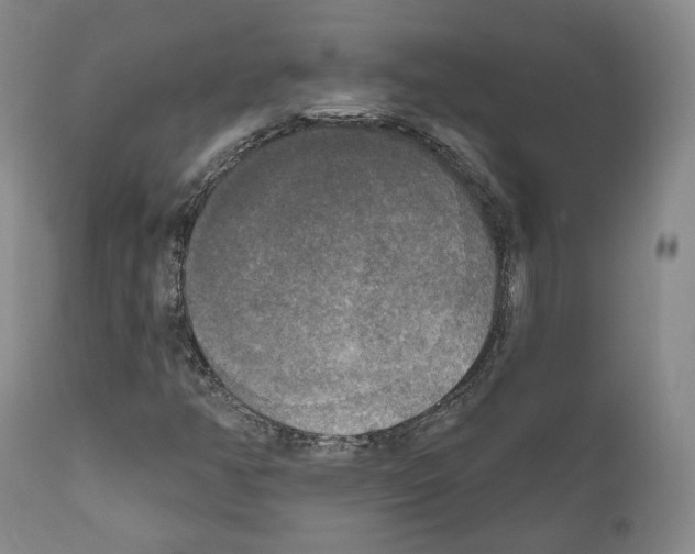 X0000111171350200908121037