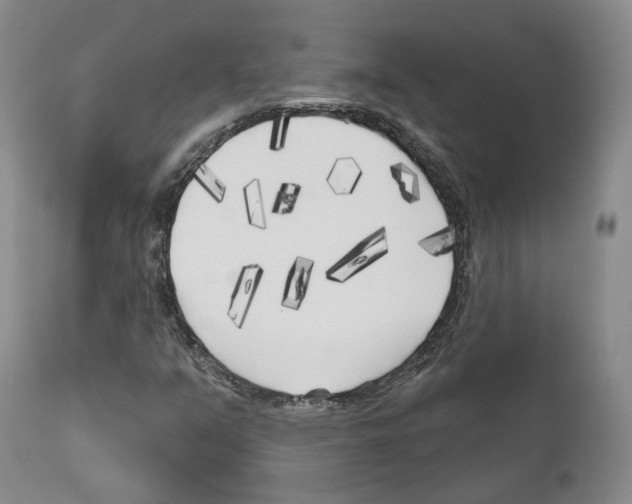 X0000111171351200908121037