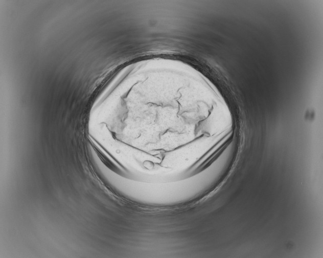 X0000111171353200908121037