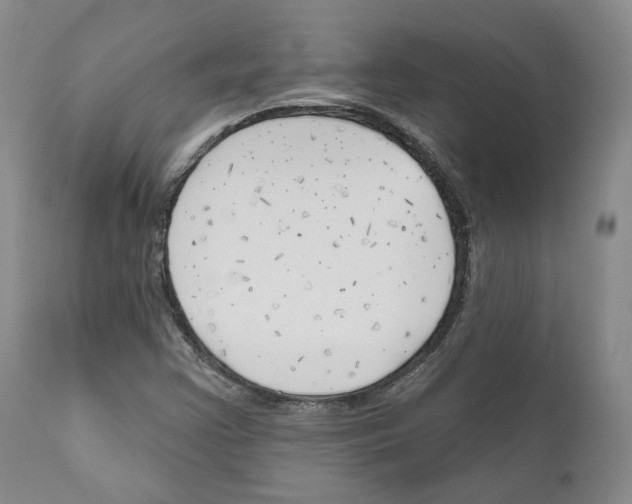 X0000111171355200908121037