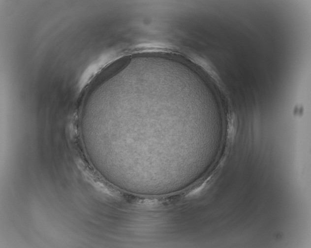 X0000111171357200908121037