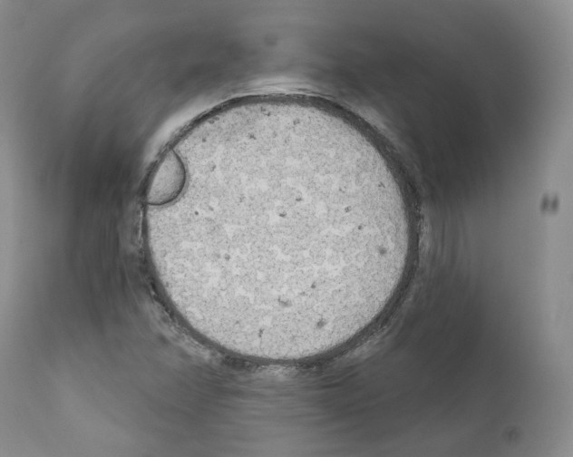 X0000111171358200908121037