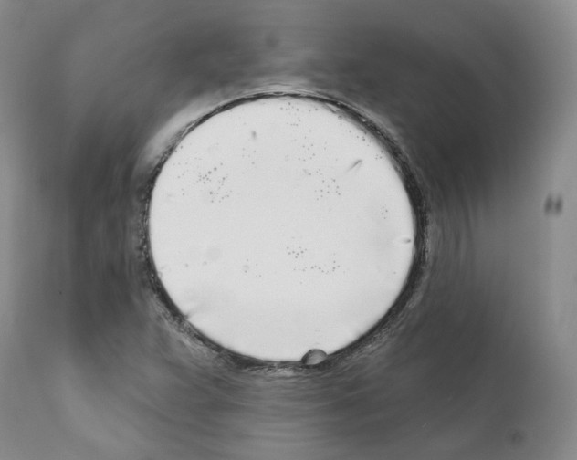 X0000111171359200908121037