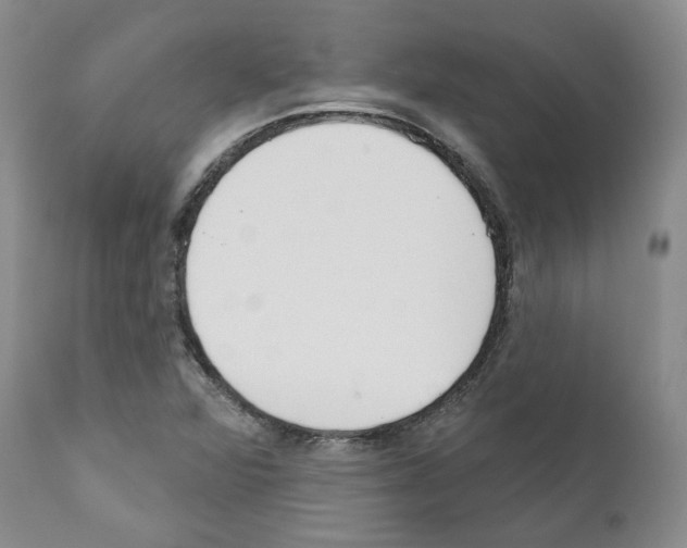 X0000111171360200908121037