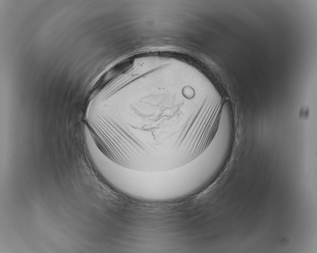 X0000111171361200908121037