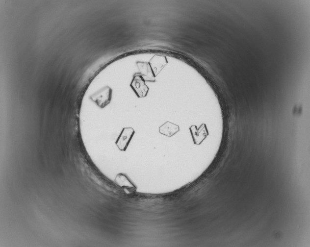 X0000111171363200908121037